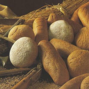 Versgebakken broodassortiment