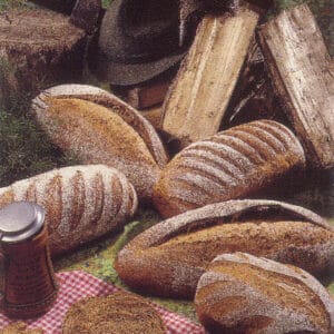 Breugel bruin brood